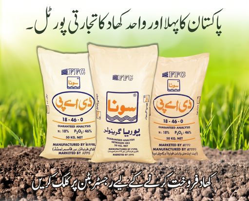 روزانہ منڈی کے نرخ